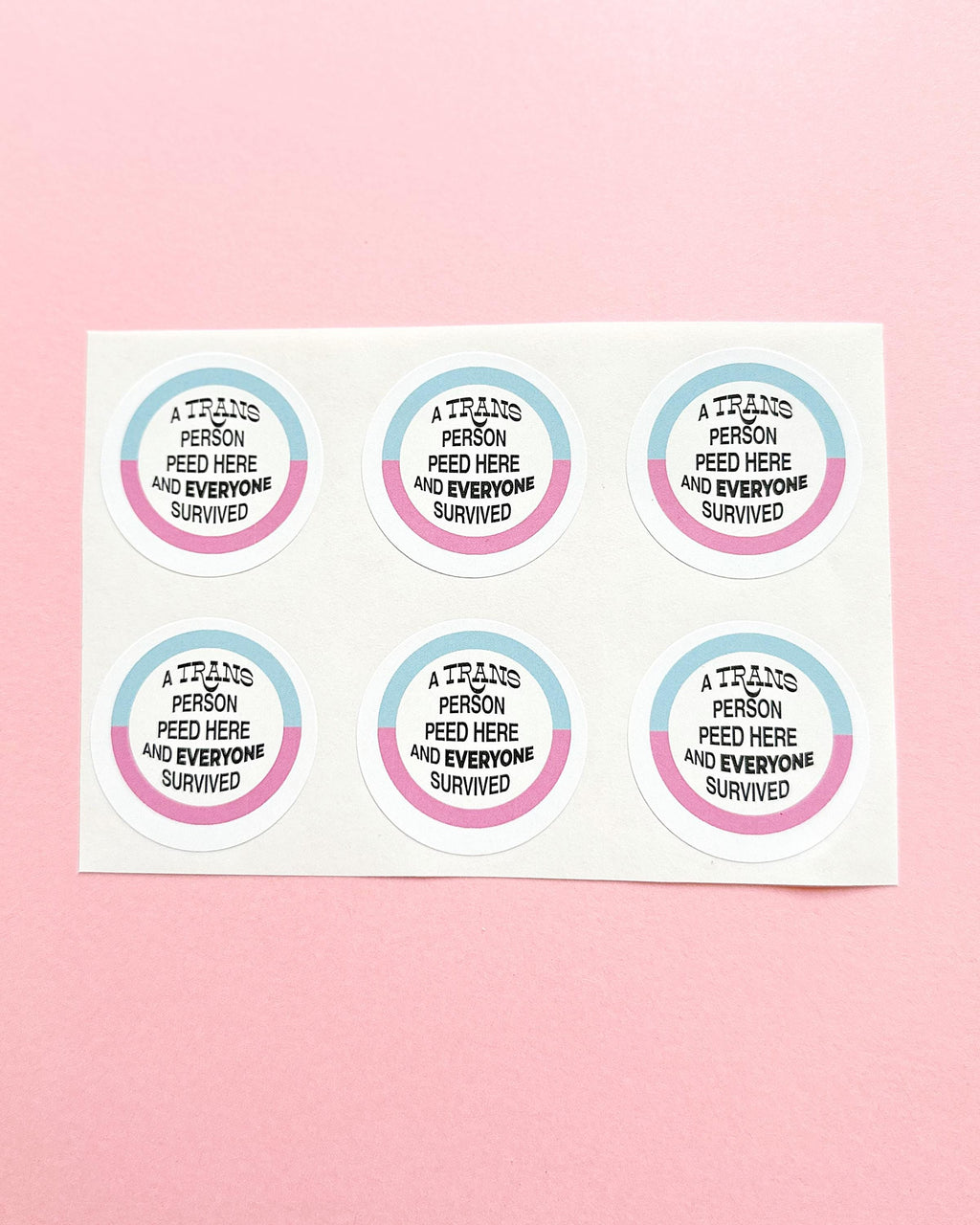 Autocollants militants trans ✶ Lot de 6 autocollants "A Trans Person Peed Here", message LGBTQ+ à coller partout